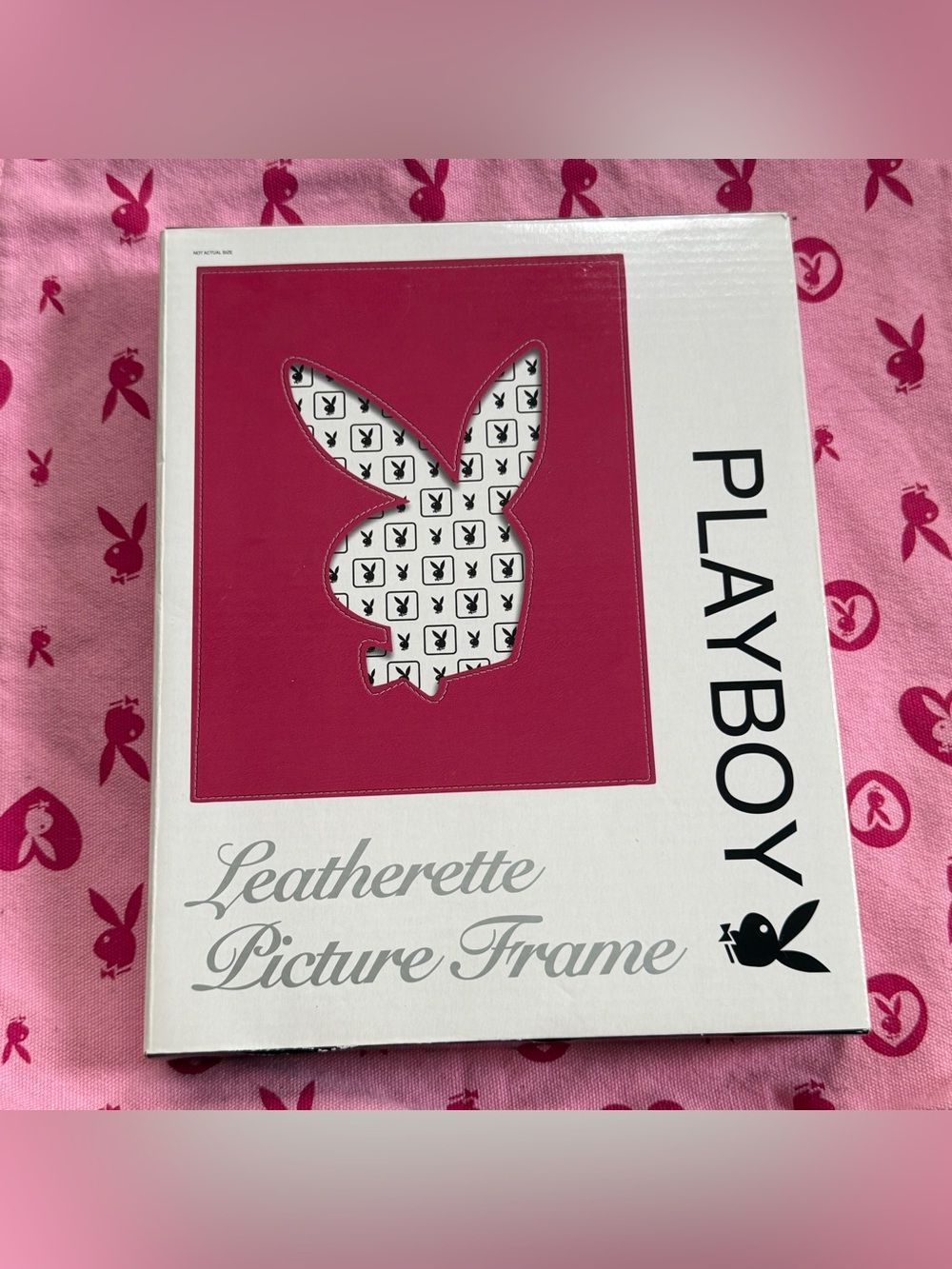 Playboy y2k bunny picture frame NWT